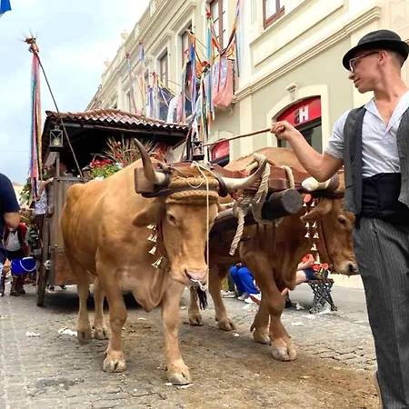Romantisches Haus In Der Historischen Altstadt Von Orotava * Ля Оротава