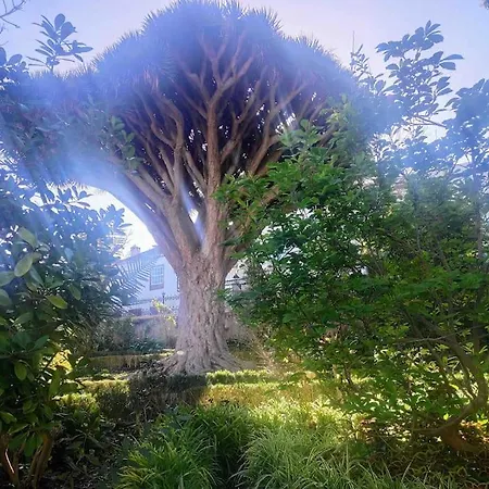 Апартаменты Romantisches Haus In Der Historischen Altstadt Von Orotava Ля Оротава